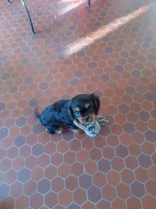 IMG_20201206_085827.jpg