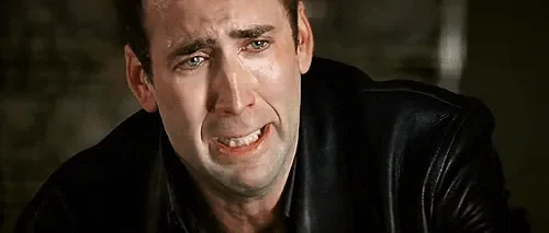 3242618545_1_2_qNhY5sh4.gif