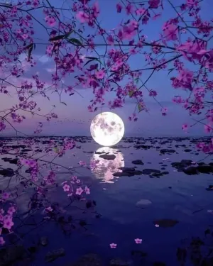 1607447153908.png