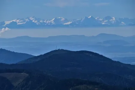 Sommet du Belchen 1410 M.jpg