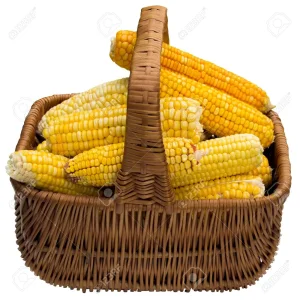 1607541695667.png