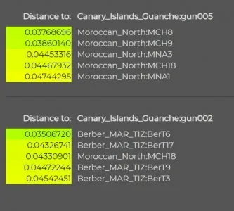 canarie2.jpg