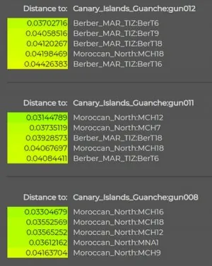 canarie1.jpg