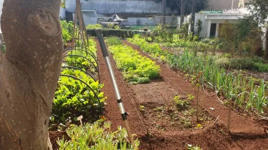 20201212_130745.jpg