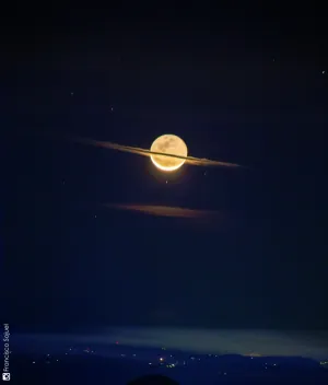 1608063066271.png