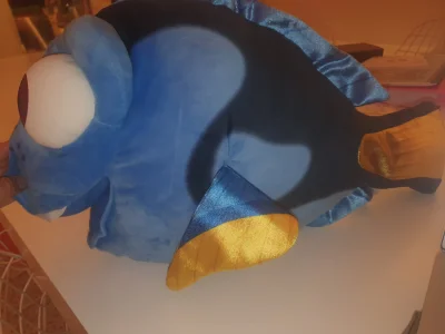 16087629055836528348908609460015.jpg
