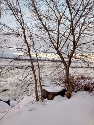 IMG_20210101_155311389_HDR.jpg