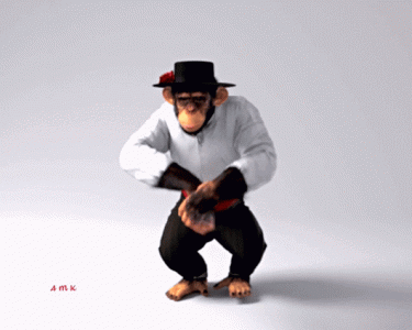 monkey dance.gif