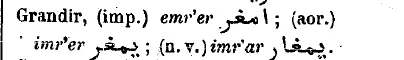 img49.png