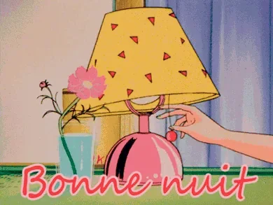 bonne-nuit-gif.gif