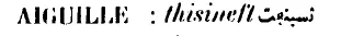 img4.png