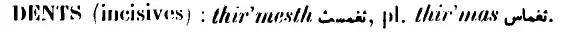 img20.png