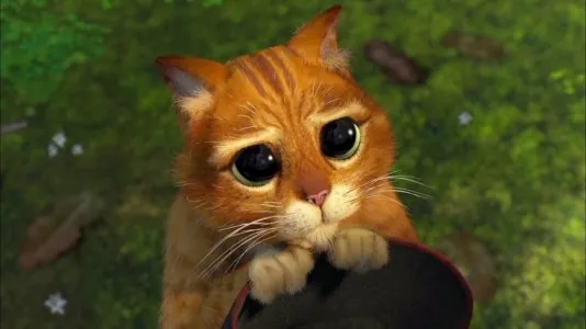 870x489_5c77973304410-le-chat-potte-06.jpg