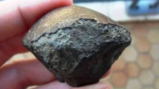 chondrite_carbonee.jpg