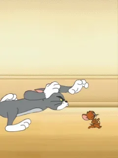 1614360965610.gif