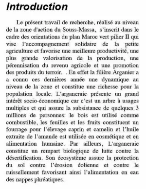 introduction 2.jpg