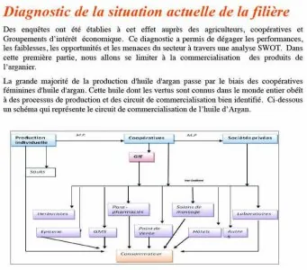 diagnostique.jpg