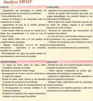 analyse swot.jpg