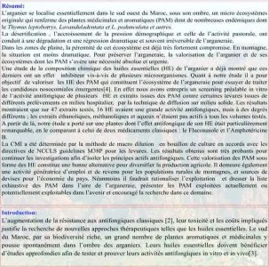 résumé-intro.jpg
