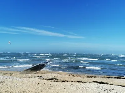 IMG_20210224_125245.jpg