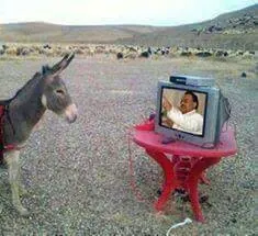 7maroutv.jpg