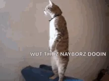 pop.gif