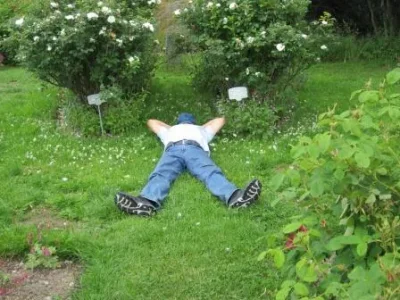 Assendou mode geule de bois.jpg