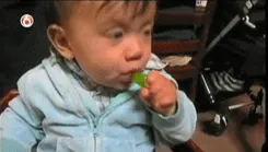 giphy (6).gif