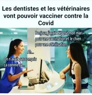 1617193360241.jpeg
