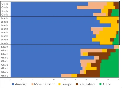 Moroccan admixture.png