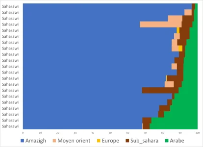 Sahraoui.png