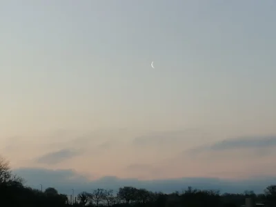 IMG_20210407_070947.jpg