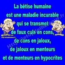 images (8).jpeg
