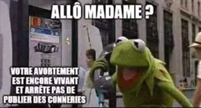 avortement.jpg
