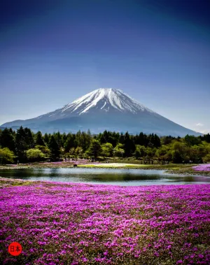 1620041495104.png