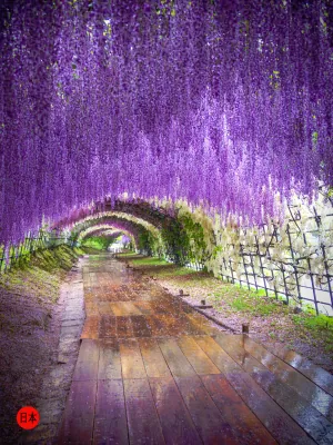 1620041791123.png