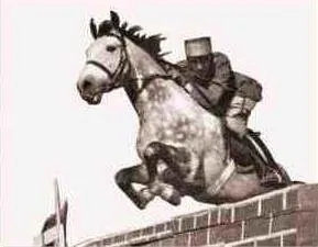 Spahi_cavaliersaut3.jpg