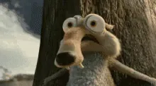 GIFs-202159113141.gif