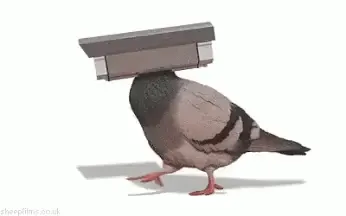 tenor (1).gif