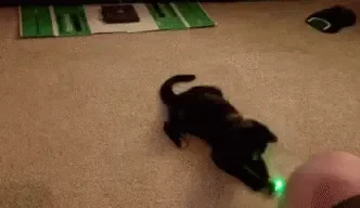 Khouna.gif
