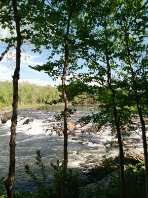 IMG_20210522_162455190.jpg