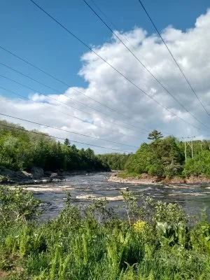 IMG_20210522_162202375_HDR.jpg