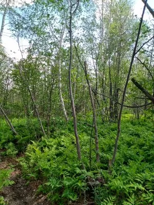 IMG_20210522_161404656_HDR.jpg