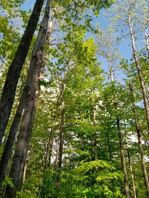 IMG_20210522_162604113_HDR.jpg