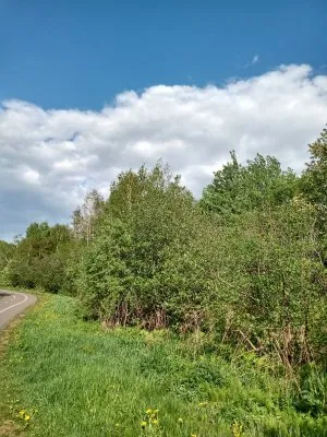 IMG_20210522_163154236_HDR.jpg