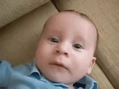GIFs-202152371858.gif