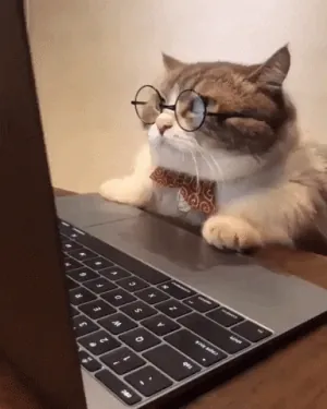 VbnUQpnihPSIgIXuZv.gif