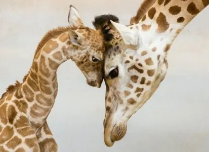 animal-parent-3.jpeg
