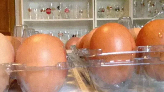 13fWOWLyqLbZjq.gif