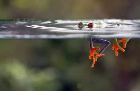 1622843144139.png